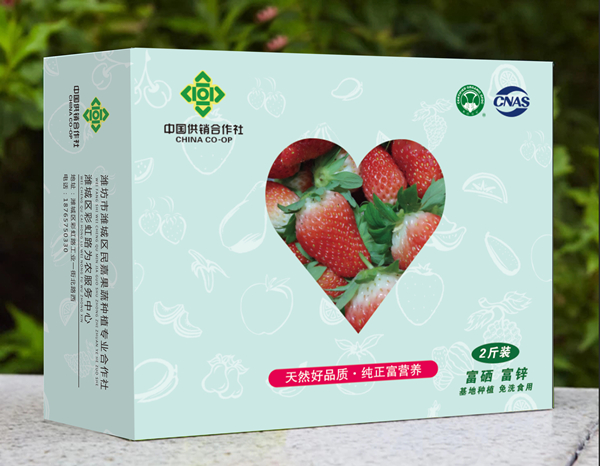 strawberry product renderings