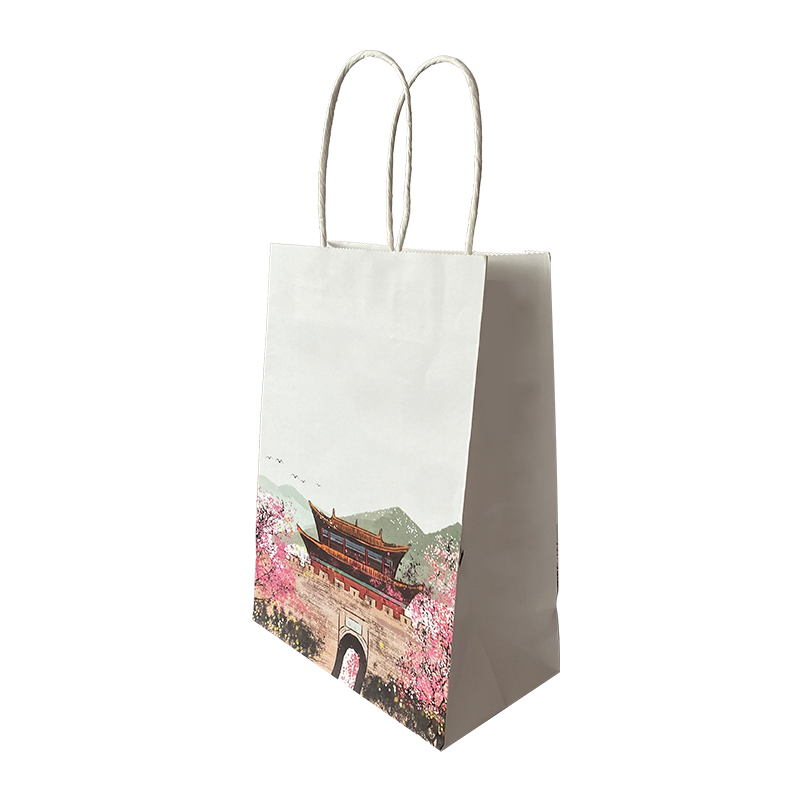 奶茶(chá)外(wài)賣打包袋飲(yǐn)料包(bāo)裝袋(dài)